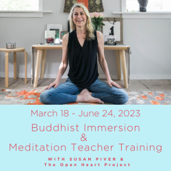 March 18 - June 24, 2023 | Buddhist Immersion & Meditation Teacher Training | with Susan Piver & the Open Heart Project