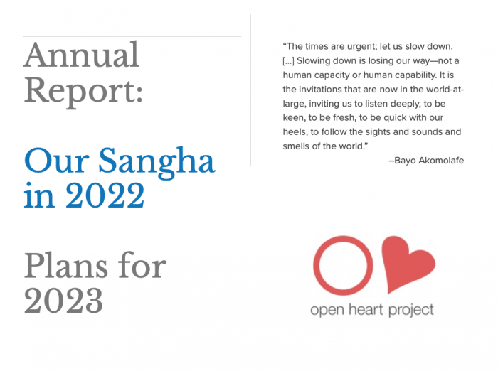 The Open Heart Project In 2022 The Open Heart Project   Screenshot 2023 01 02 At 1.30.23 PM 700x522 