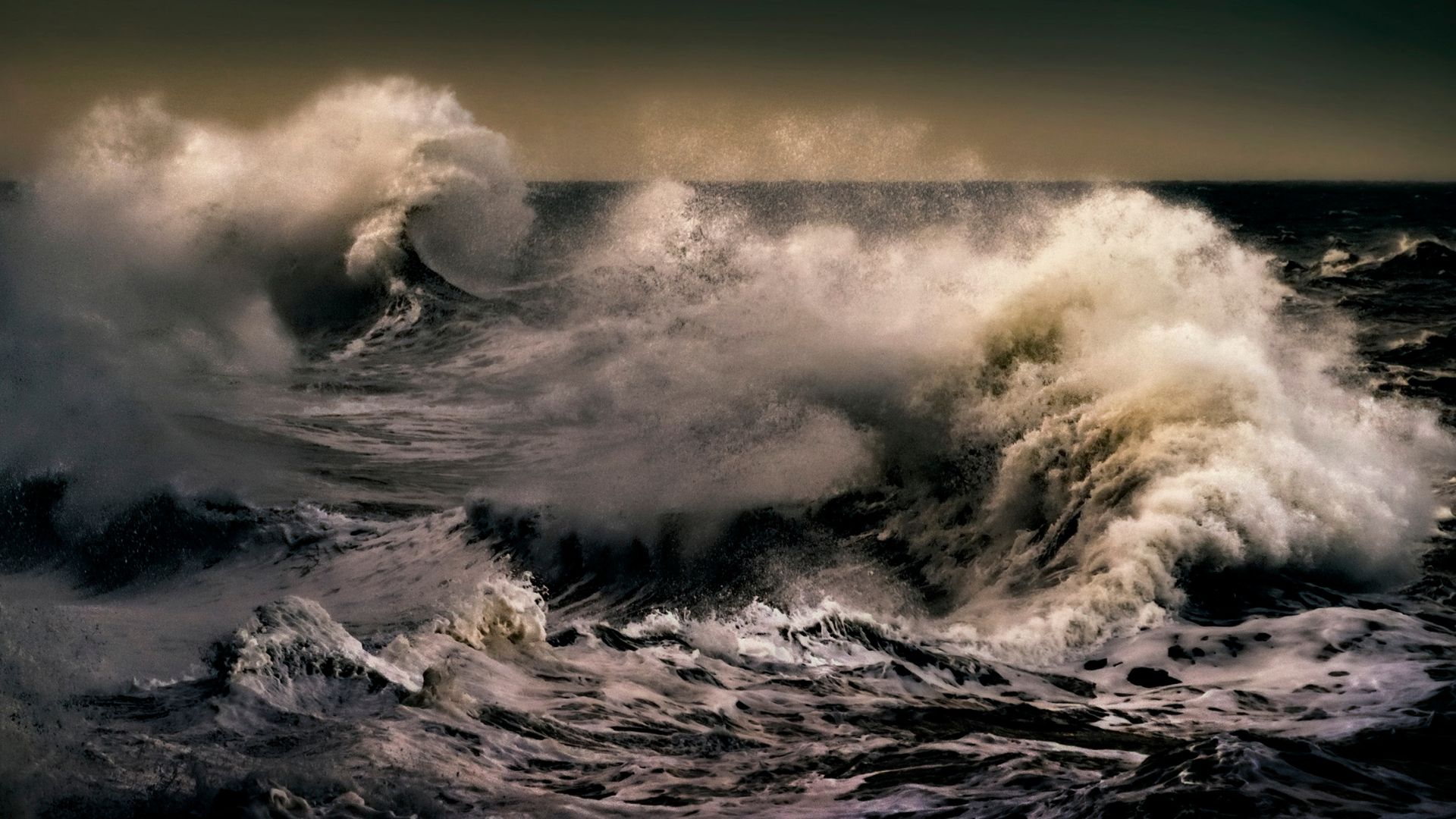 Traits of an Awakened Mind | Buddhist Wisdom