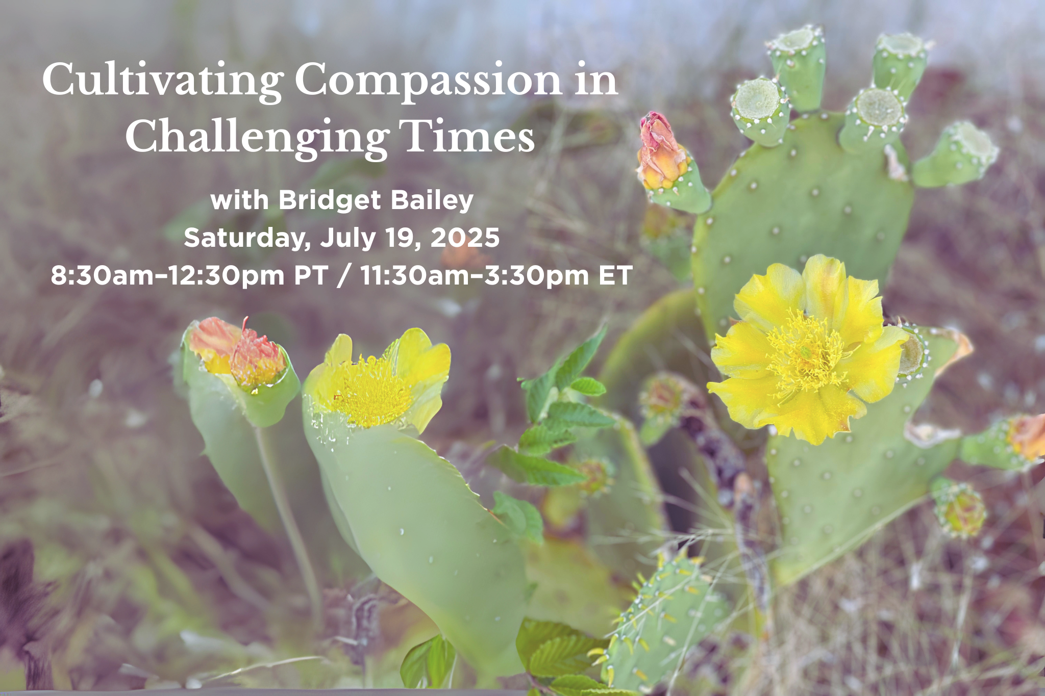 Cultivating Compassion in Challenging Times | with Bridget Bailey | Saturday, July 19, 2025 8:30am–12:30pm PT / 11:30am–3:30pm ET