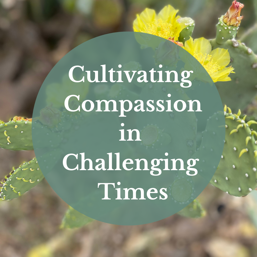 Cultivating Compassion in Challenging Times | Online Dharma Workshop