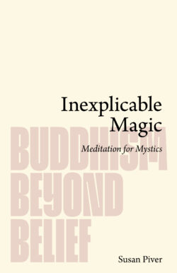 Inexplicable Magic: Meditation for Mystics | Buddhism Beyond Belief | by Susan Piver